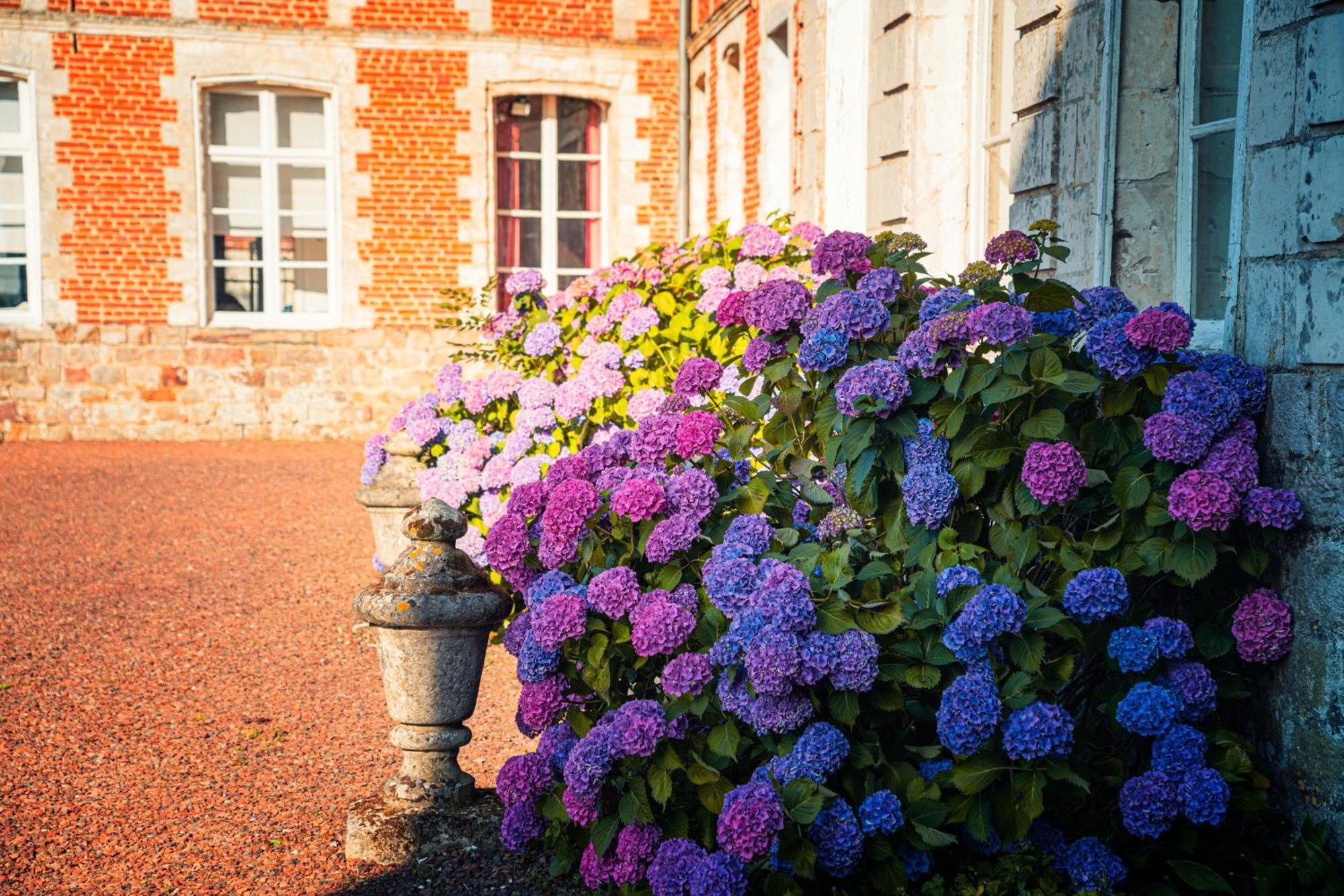 Chambres D'Hotes & Gites Du Chateau De Grand Rullecourt Kültér fotó