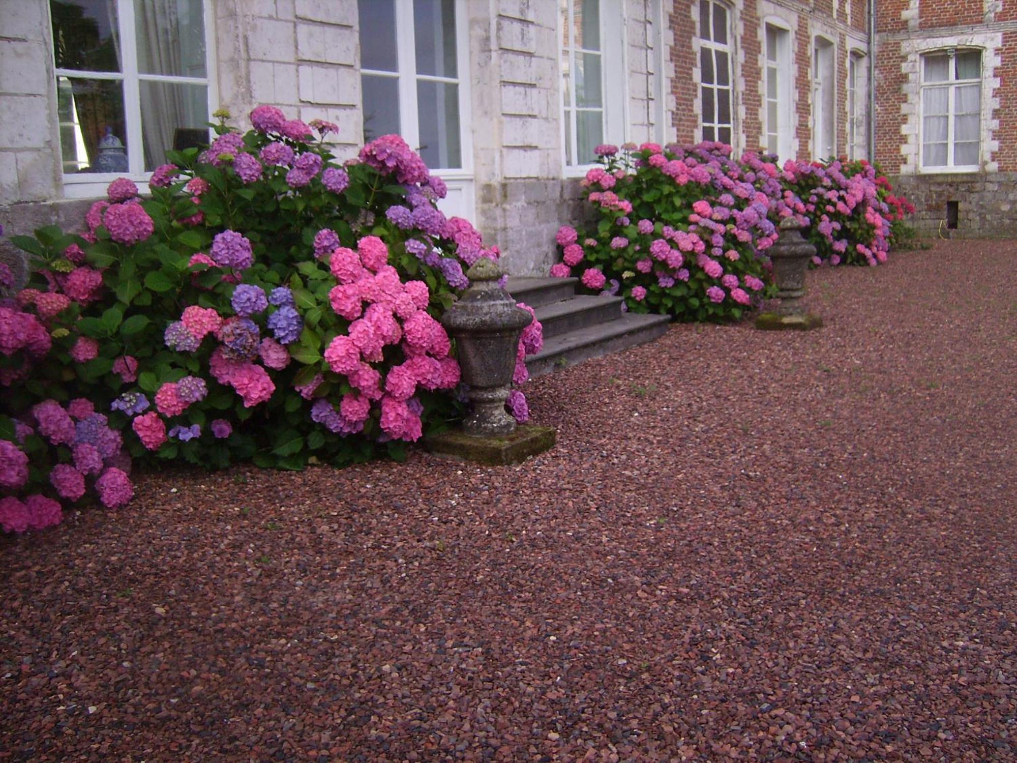 Chambres D'Hotes & Gites Du Chateau De Grand Rullecourt Kültér fotó