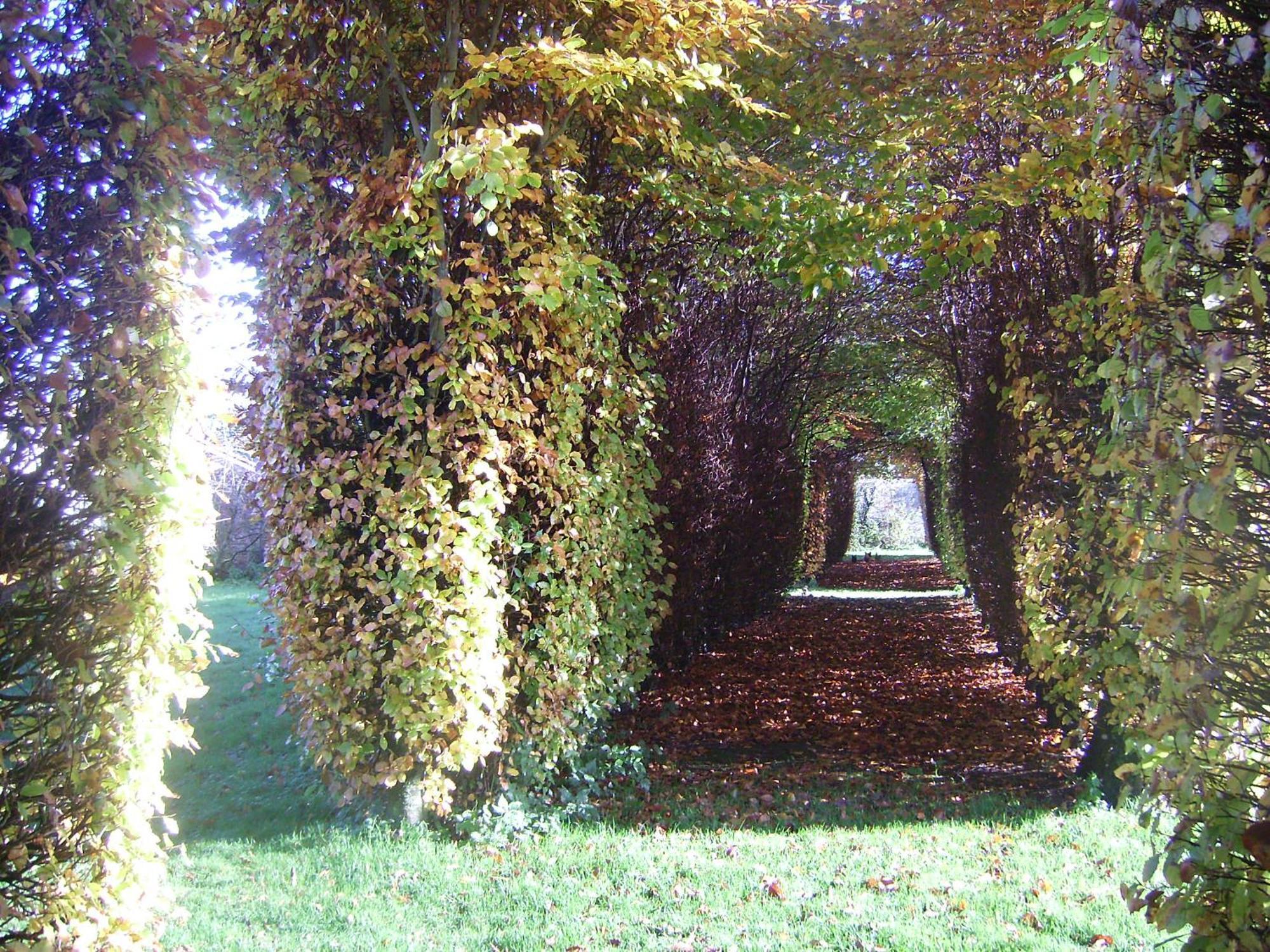 Chambres D'Hotes & Gites Du Chateau De Grand Rullecourt Kültér fotó